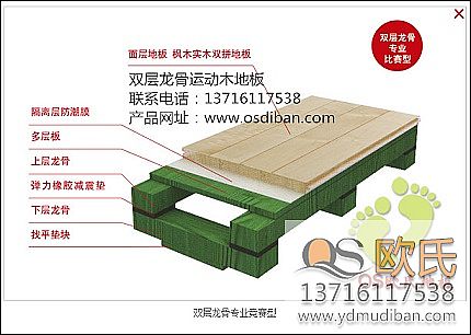 影響實木運動地板價格的因數都有哪些？