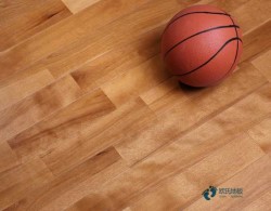 尋求運動體育地板哪些牌子好