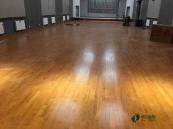 尋求體育場木地板行業品牌