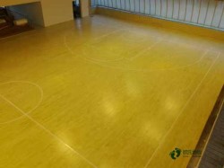 小學籃球館木地板廠家報價