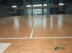 尋求體育地板品牌哪個好