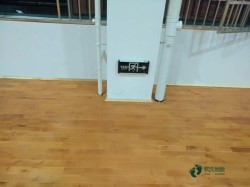 供應籃球場館木地板廠家報價