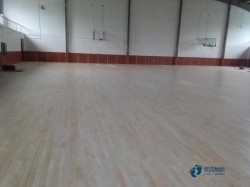 尋求運動館木地板哪個品牌好