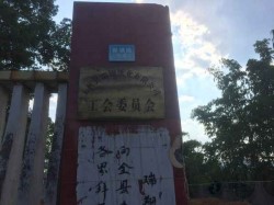 板式龍骨籃球場地木地板安裝公司