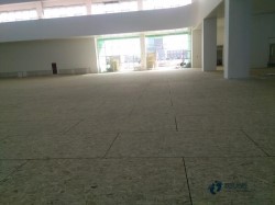 尋求運動地板哪個牌子比較好
