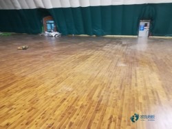 尋求運動館地板哪個牌子比較好