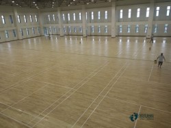 中等運動型地板施工單位