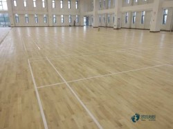 尋求籃球場館地板品牌有哪些