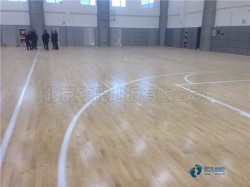 尋求運動館地板行業品牌