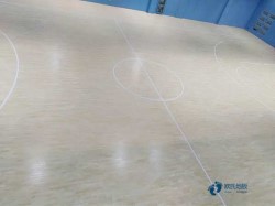 體育籃球木地板廠家報價