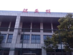 楓樺木體育館木地板安裝公司
