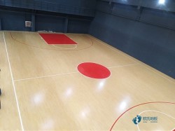 運動場館木地板安裝費