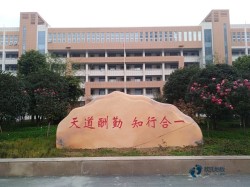 專用運動館地板廠家報價