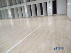 哪里有運動木地板品牌