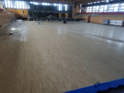 質量好體育籃球木地板廠家報價