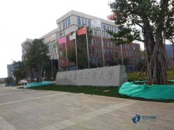 懸浮運動場地地板施工
