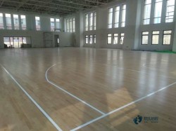 雙層龍骨籃球場地板維護保養