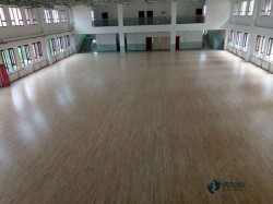 籃球館地板需要多少錢