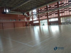 籃球場館地板多少錢一平方米
