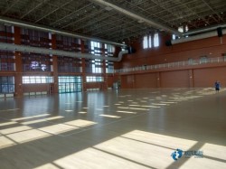 那里有運動籃球木地板品牌排行榜