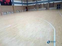 普通運動場館木地板廠家報價