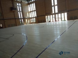 懸浮籃球場木地板施工團隊