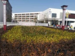 柞木體育場地板廠家報價